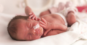 premature baby in humidicrib
