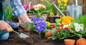 gardening-tips-egoc