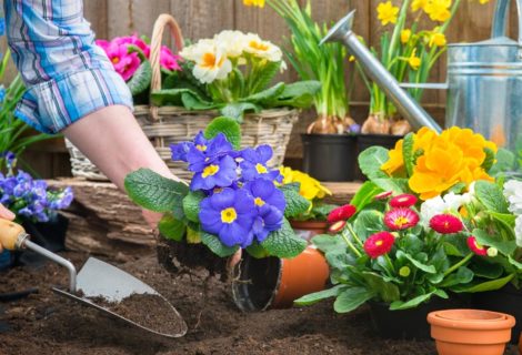 Gardening tips to prevent pain